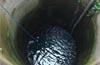 Kasargod : Brothers found dead in well